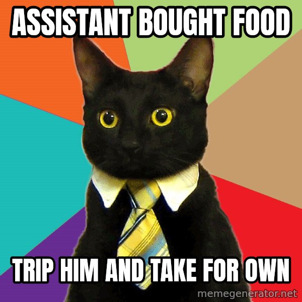 Business Cat meme: Assistant bought food / trip him and take for own
