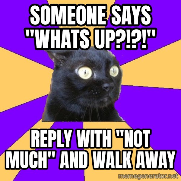 Anxiety Cat meme: Someone Says "Whats Up?!?!" / Reply with "Not Much" and walk away