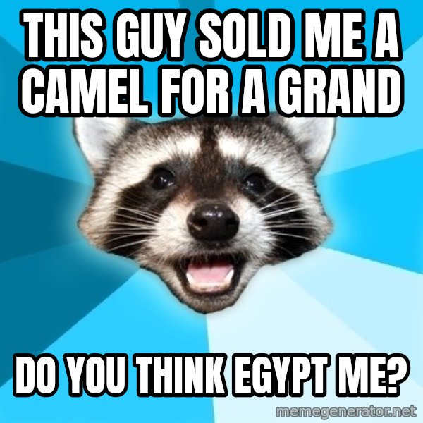 Lame Pun Coon meme: This guy sold me a camel for a grand / do you think egypt me?