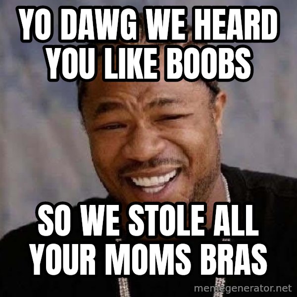 Yo Dawg meme: yo dawg we heard you like boobs / so we stole all your moms bras
