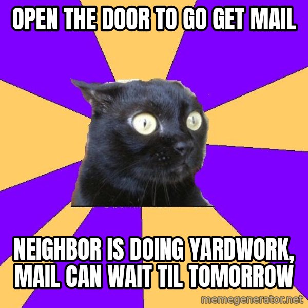 Anxiety Cat meme: Open the door to go get mail / neighbor is doing yardwork, mail can wait til tomorrow