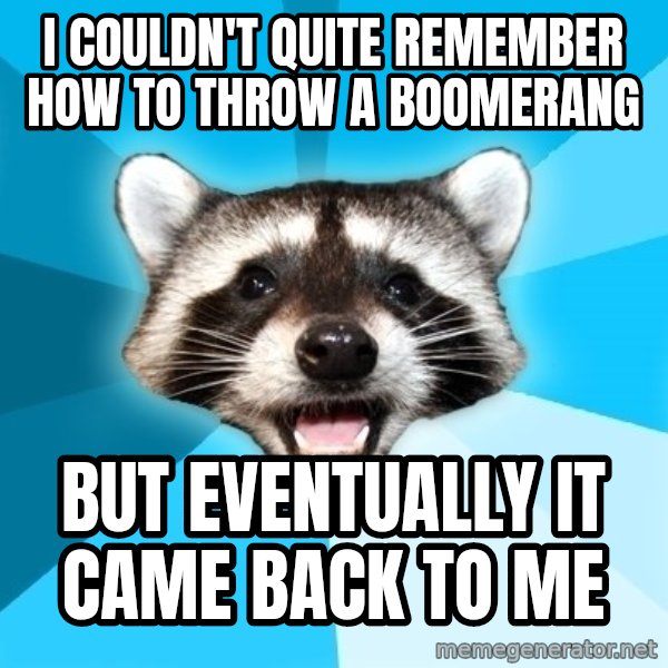 Lame Pun Coon meme: I couldn't quite remember how to throw a boomerang / BUT EVENTUALLY IT CAME BACK TO ME