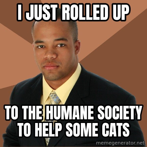Successful Black Man meme: I just rolled up / to the humane society to help some cats