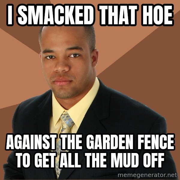 Successful Black Man meme: i smacked that hoe / against the garden fence to get all the mud off