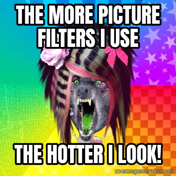Insanity Scene Wolf meme: THe More Picture Filters I use / The hotter I look!