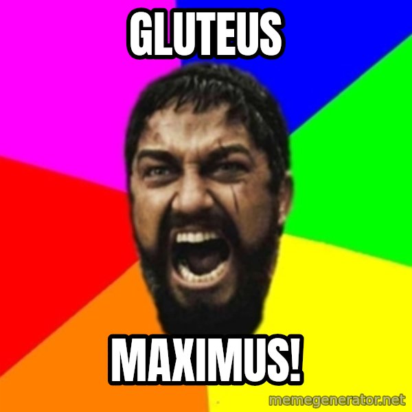 sparta meme: Gluteus / Maximus!
