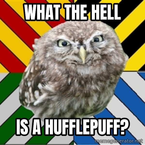 JEALOUS POTTEROMAN meme: What the hell / Is a hufflepuff?