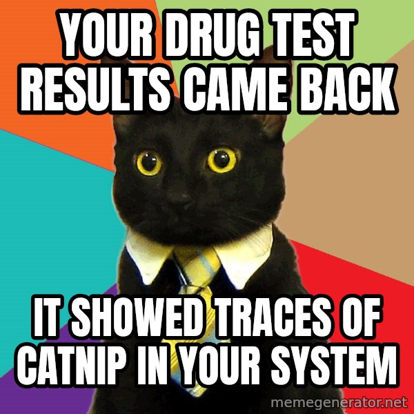Business Cat meme: Your drug test results came back / it showed traces of catnip in your system