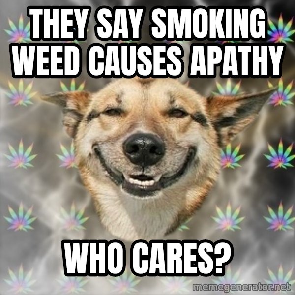 Stoner Dog meme: they say smoking weed causes apathy / who cares?