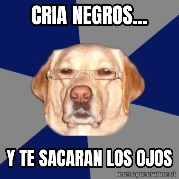 Racist Dog meme: Cria negros... / Y te sacaran los ojos