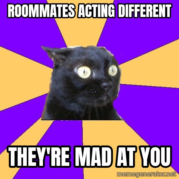 Anxiety Cat meme: Roommates acting different / They're mad at you