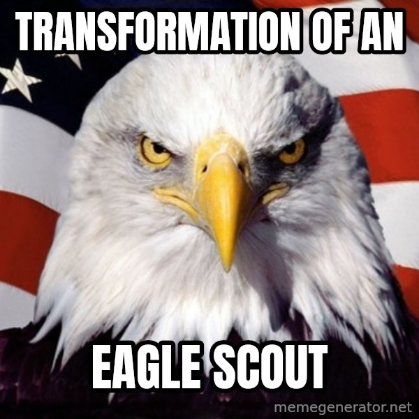 American Pride Eagle meme: transformation of an / eagle  scout