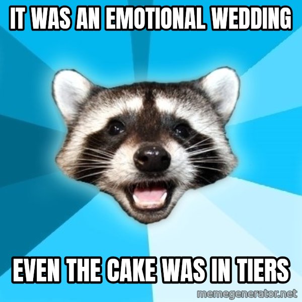 Lame Pun Coon meme: IT WAS AN EMOTIONAL WEDDING / EVEN THE CAKE WAS IN TIERS
