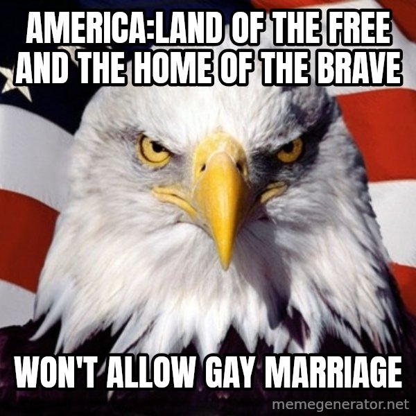 American Pride Eagle meme: America:land of the free and the home of the brave / Won't allow gay marriage