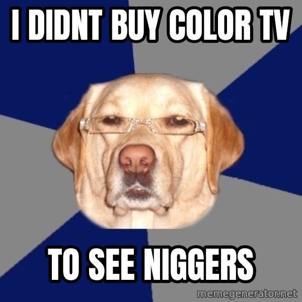 Racist Dog meme: I DIDNT BUY COLOR TV / TO SEE NIGGERS