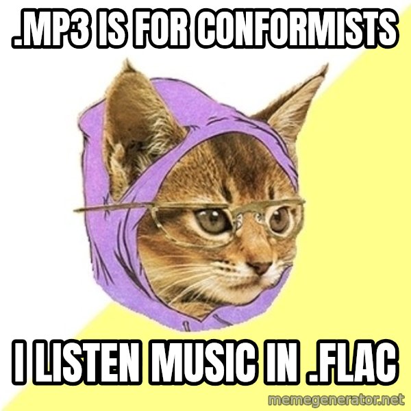 Hipster Kitty meme: .MP3 IS FOR CONFORMISTS / I LISTEN MUSIC IN .FLAC