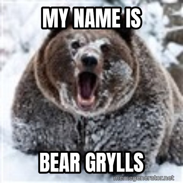 Clean Cocaine Bear meme: My name is / Bear grylls