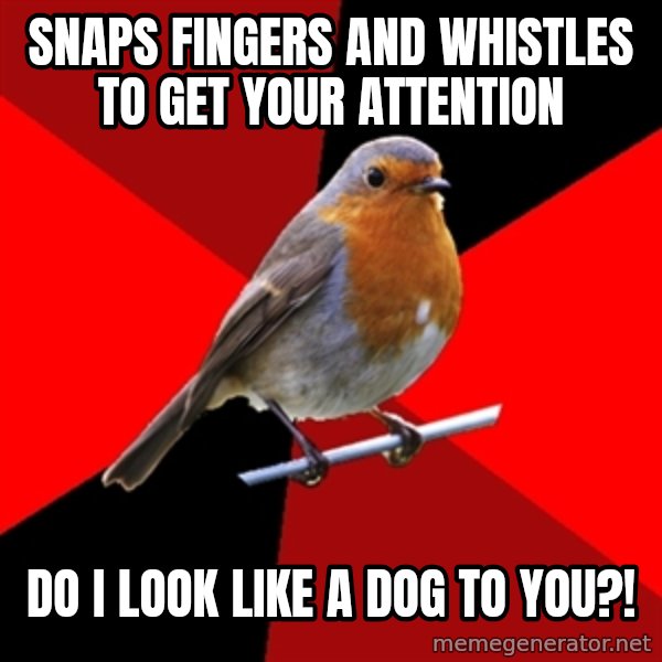 Retail Robin meme: Snaps fingers AND WHISTLES to get YOUR attention / DO I LOOK LIKE A DOG TO YOU?!