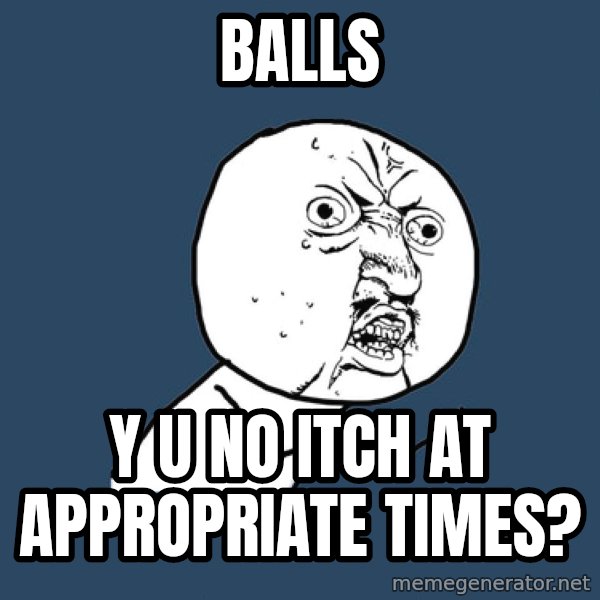 Y U No meme: balls / y u no itch at appropriate times?