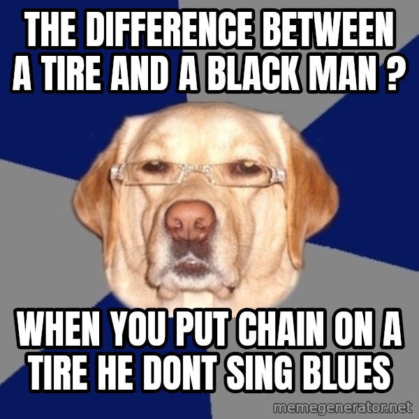 Racist Dawg meme: the difference between a tire and a black man ? / when you put chain on a tire he dont sing blues