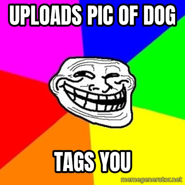 Trollface meme: uploads pic of dog / tags you