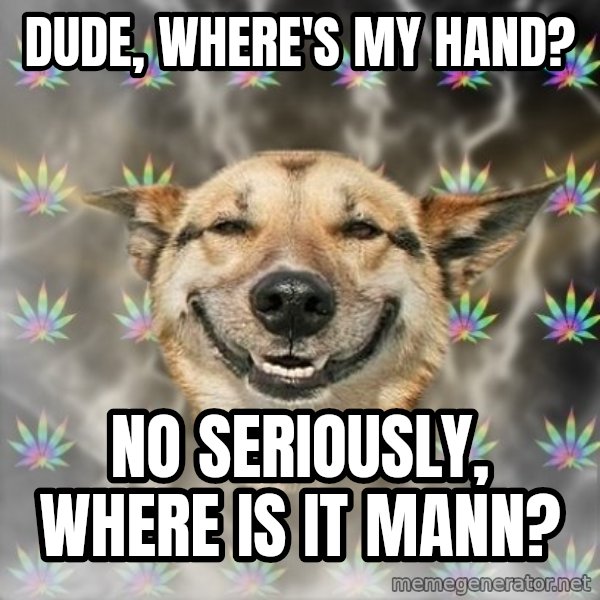 Stoner Dog meme: dude, where's my hand? / no seriously, where is it mann?
