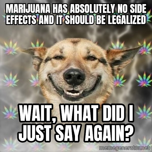 Stoner Dog meme: marijuana has absolutely no side effects and it should be legalized / wait, what did i just say again?