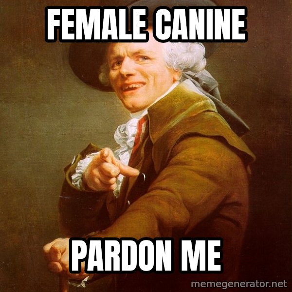 Joseph Ducreux meme: female canine / pardon me