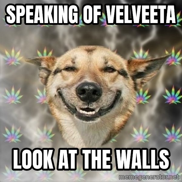Stoner Dog meme: speaking of velveeta / look at the walls