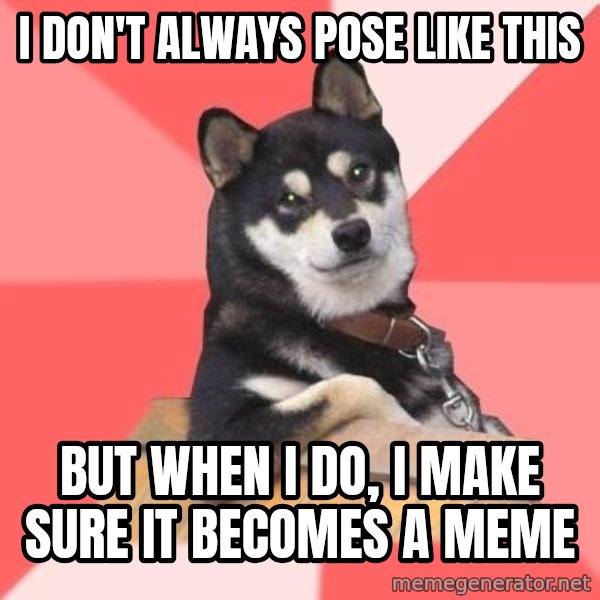 Cool Dog meme: I don't always pose like this / but when i do, i make sure it becomes a meme