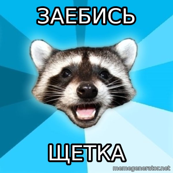 Lame Pun Coon meme: заебись / щетка