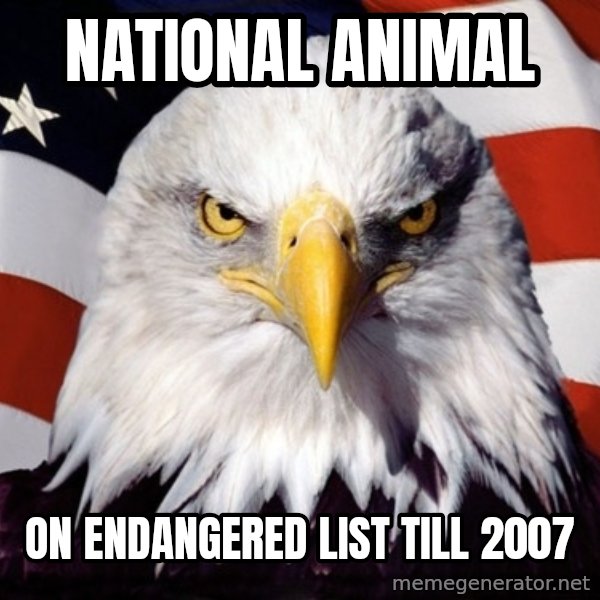 American Pride Eagle meme: national animal / on endangered list till 2007