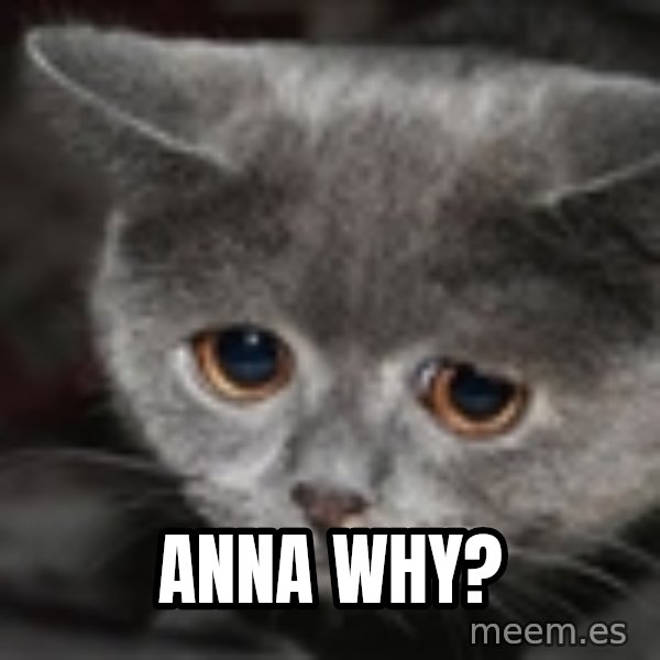 sad cat meme: Anna why?