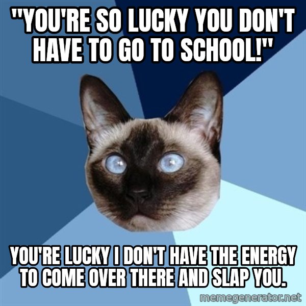 Chronic Illness Cat meme: "you're so lucky you don't have to go to school!" / You're lucky I don't have the energy to come over there and slap you.