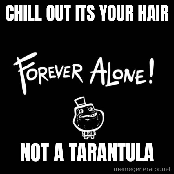 Chill Out Lemur meme: chill out its your hair / not a tarantula