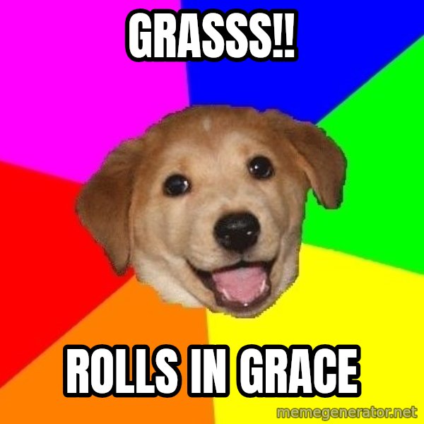 Advice Dog meme: GRASSS!! / rolls in grace