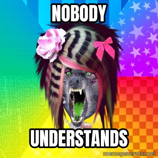 Insanity Scene Wolf meme: nobody / understands