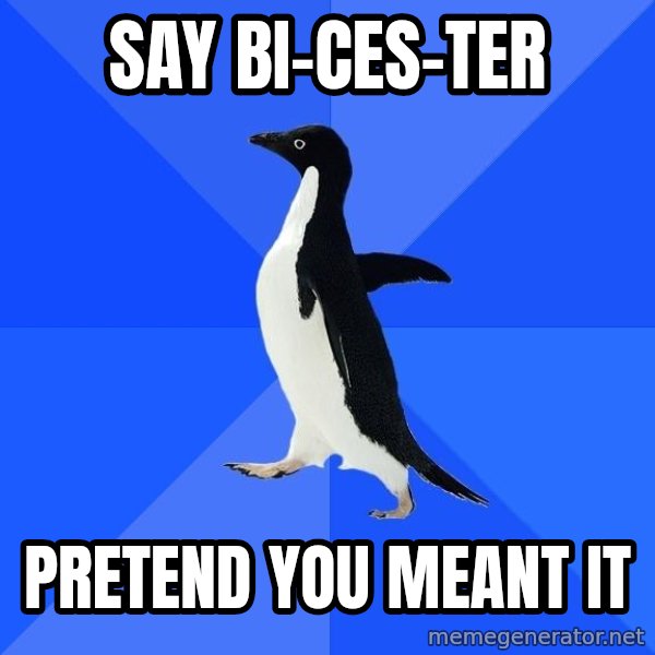 Socially Awkward Penguin meme: say bi-ces-ter / pretend you meant it