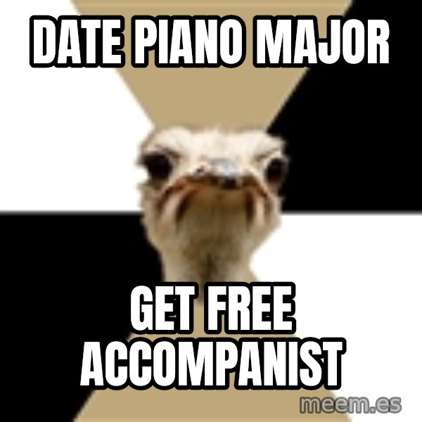 Music Major Ostrich meme: date piano major / get free accompanist