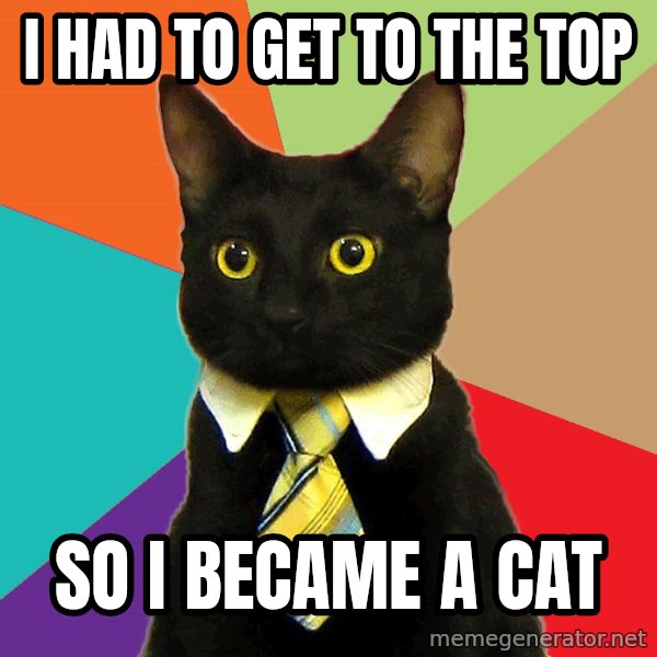 Business Cat meme: I had to get to the top / so i became a cat