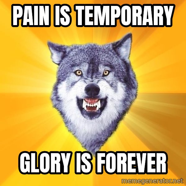 Courage Wolf meme: PAIN IS TEMPORARY / GLORY IS FOREVER