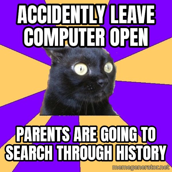 Anxiety Cat meme: accidently leave computer open / parents are going to search through history