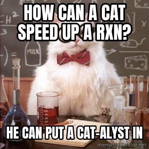Science Cat meme: How can a cat speed up a Rxn? / He can put a Cat-Alyst in