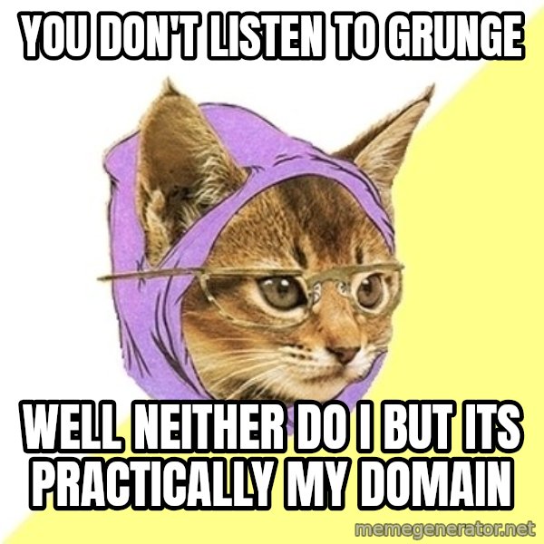 Hipster Kitty meme: you don't listen to grunge / well neither do i but its practically my domain