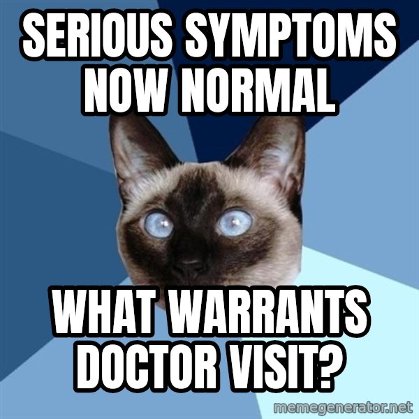 Chronic Illness Cat meme: Serious symptoms now normal / What warrants doctor visit?