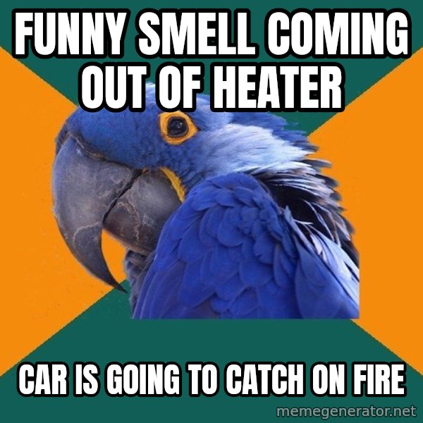 Paranoid Parrot meme: funny smell coming out of heater / car is going to catch on fire