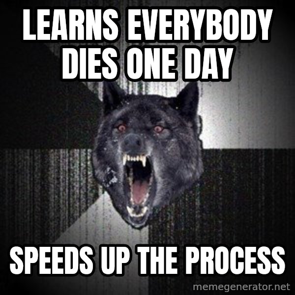 Insanity Wolf meme: LEarNs eveRybody dIes one day / Speeds up the process