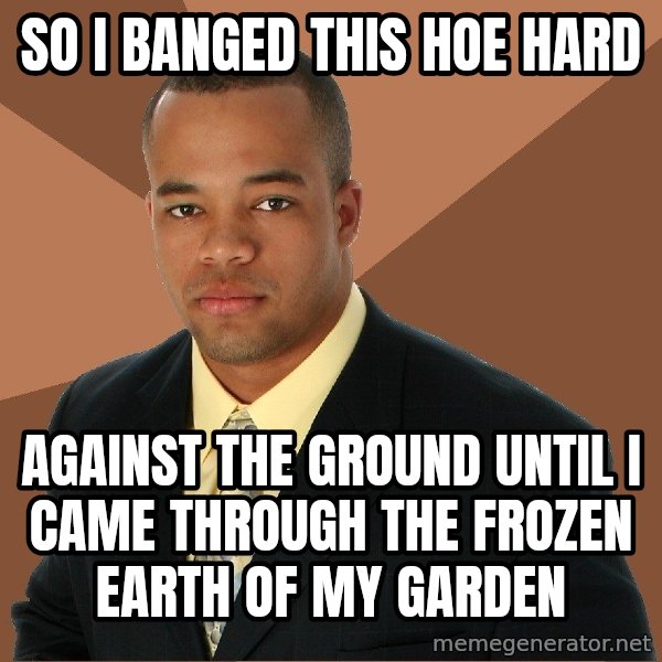 Successful Black Man meme: So i banged this hoe hard / against the ground until i came through the frozen earth of my  garden