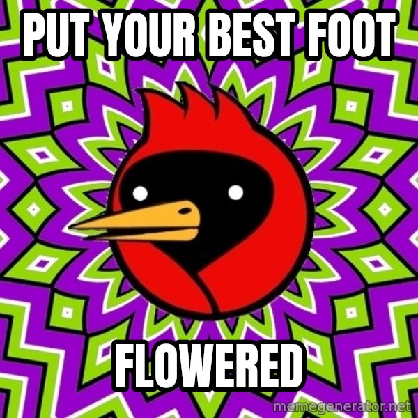 Omsk Crow meme: put your best foot / flowered