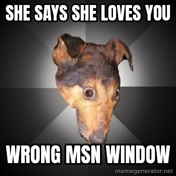 Depression Dog meme: she says she loves you / wrong msn window